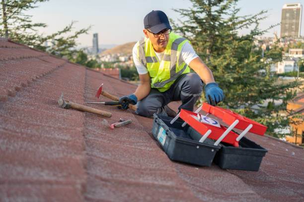 Best Fascia and Soffit Installation  in Carle Place, NY